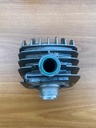 Gruppo termico completo di collettore Gilardoni Fantic Fm 238 fast Oasis koala 50  