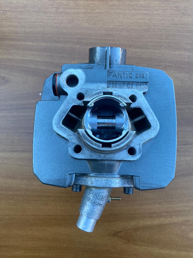 Gruppo termico completo di collettore Gilardoni Fantic Fm 238 fast Oasis koala 50  