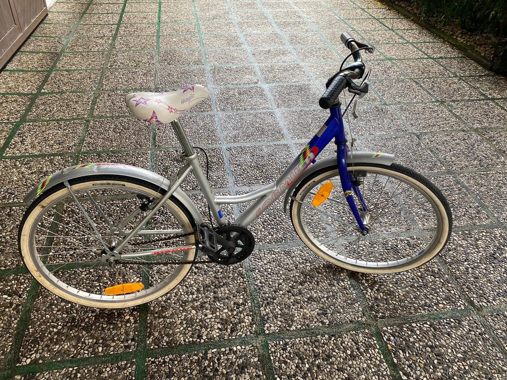 BICI DA BAMBINA 21 POLLICI