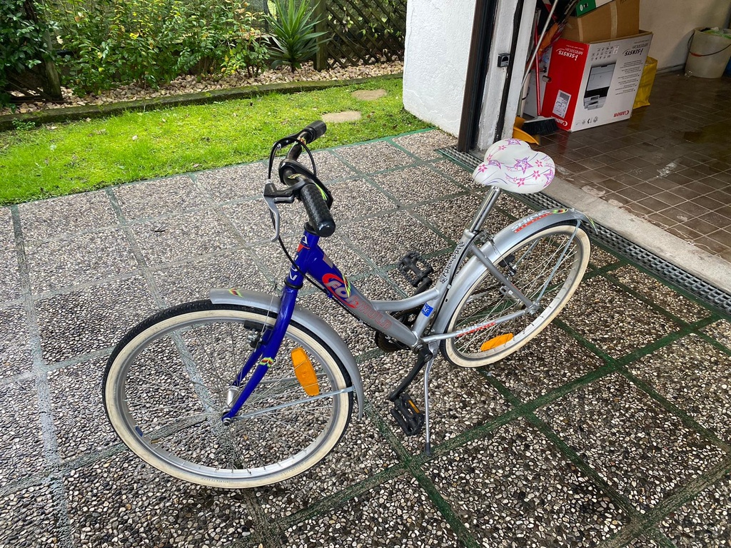 BICI DA BAMBINA 21 POLLICI