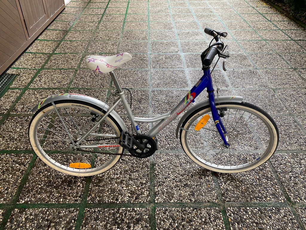 BICI DA BAMBINA 21 POLLICI
