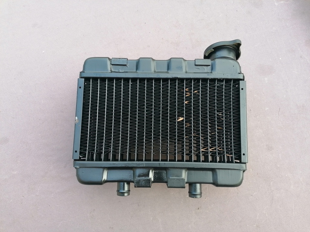 Radiatore motore Garelli Tiger Euro 90 più ss