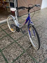 BICI DA BAMBINA 21 POLLICI
