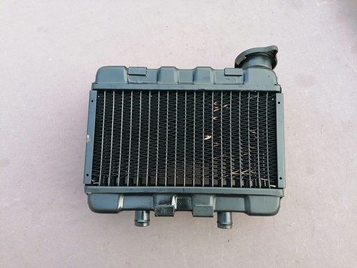 [RIF.141] Radiatore motore Garelli Tiger Euro 90 più ss