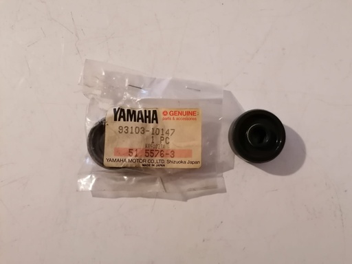 [RIF.282] PARAOLIO 36F Yamaha Dt 125 E /YFR350