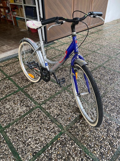 [RIF.413] BICI DA BAMBINA 21 POLLICI